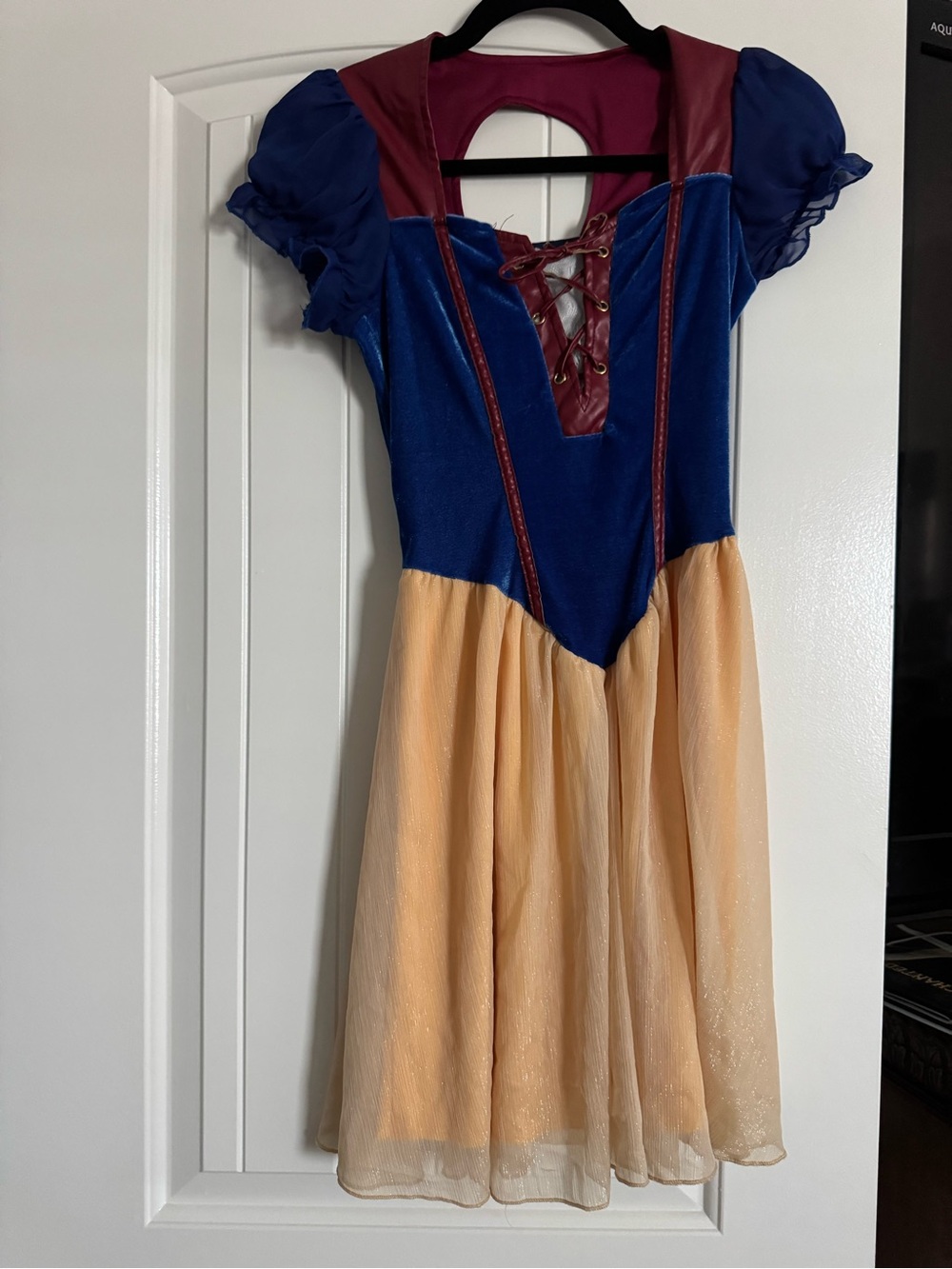 Spirit Snow White Costume